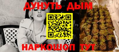 прущие грибы Краснодар