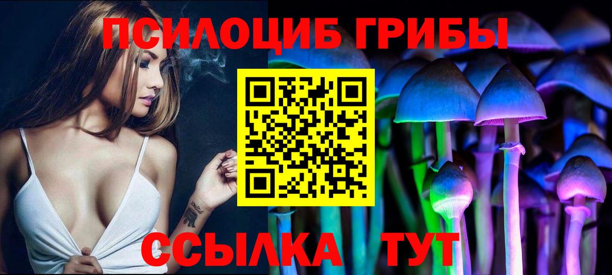 Псилоцибиновые грибы Psilocybine cubensis Карталы